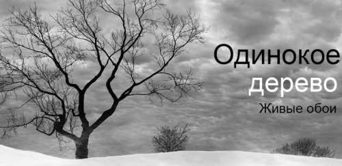 Lonely Tree Live Wallpaper