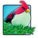 Natural Angry Birds