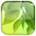 Galaxy S4 Leaf Live Wallpaper - Обои с листьями