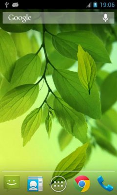 Galaxy S4 Leaf Live Wallpaper - Обои с листьями