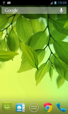 Galaxy S4 Leaf Live Wallpaper - Обои с листьями