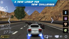 Сумасшедший гонщик 3D - Racing