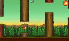Неловкие Птицы: Clumsy Bird