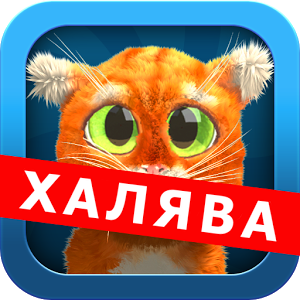 Дерзкий Котэ (Говорящий кот)