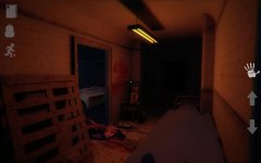 Mental Hospital V