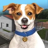 Animal Shelter Simulator (MOD, Money)