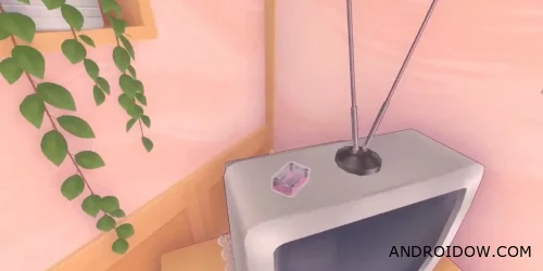 Flash Drive No. 4 "Mit's Cap"