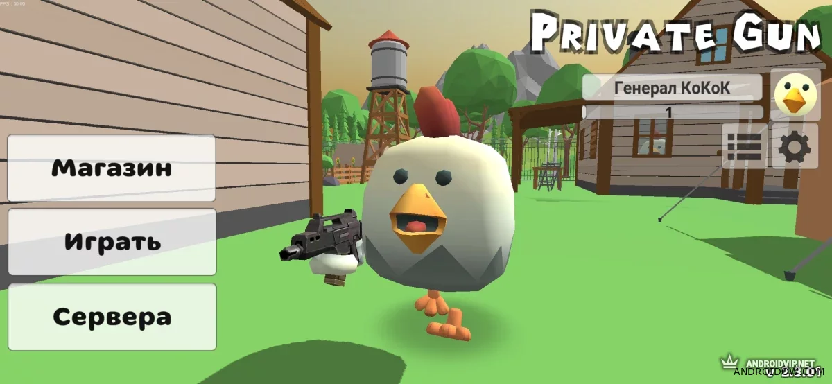 Private Gun