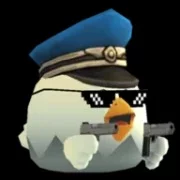 Private Gun