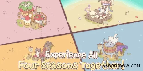 Кошки и суп