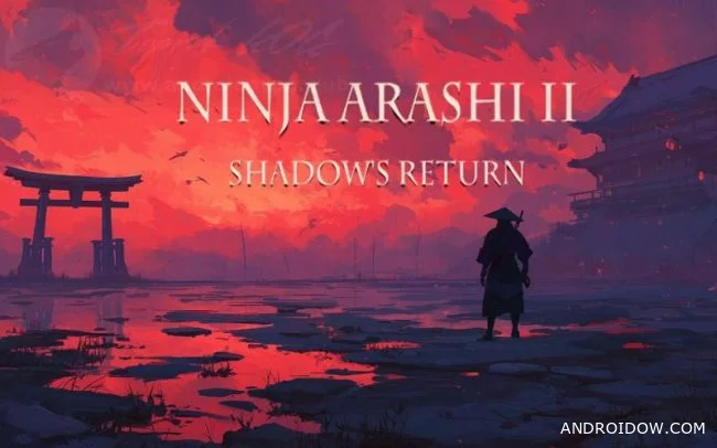 Ninja Arashi 2 Shadows Return