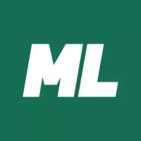 Maxline на Android: честный обзор плюсов и минусов мобильного приложения