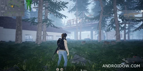 PROW Z OPEN WORLD PREMIUM