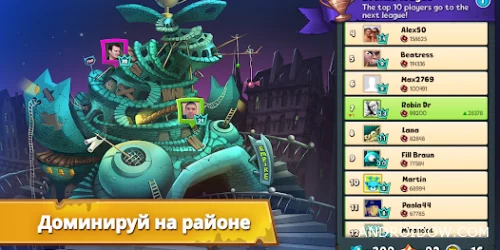 Коты: дворовые разборки