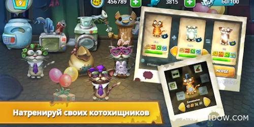 Коты: дворовые разборки