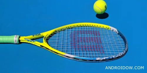 Tennis Clash: какие элементы настоящего тенниса мобильная игра сохраняет лучше всего
