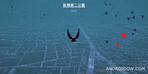 Pigeon: A Love Story